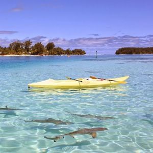 Meet your Posher, Trisha